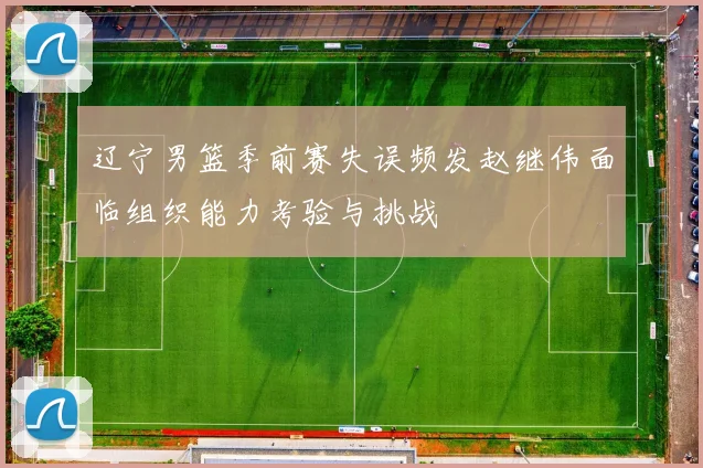 辽宁男篮季前赛失误频发赵继伟面临组织能力考验与挑战